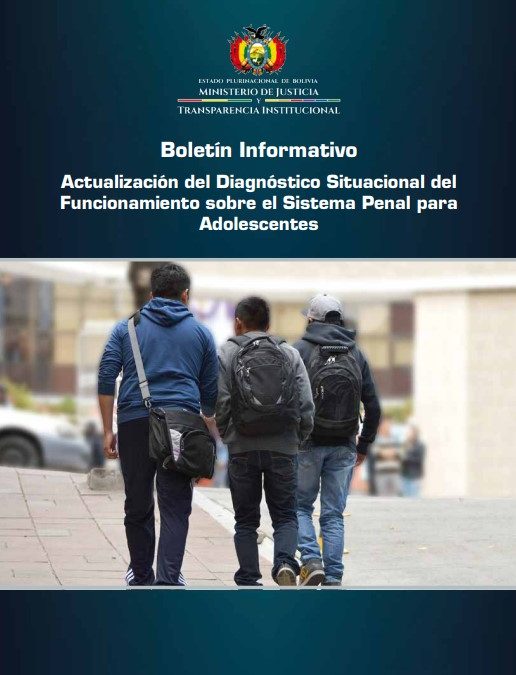Boletín Informativo: Actualización del Diagnóstico Situacional del Funcionamiento sobre el Sistema Penal para Adolescentes